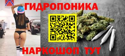spice Пенза
